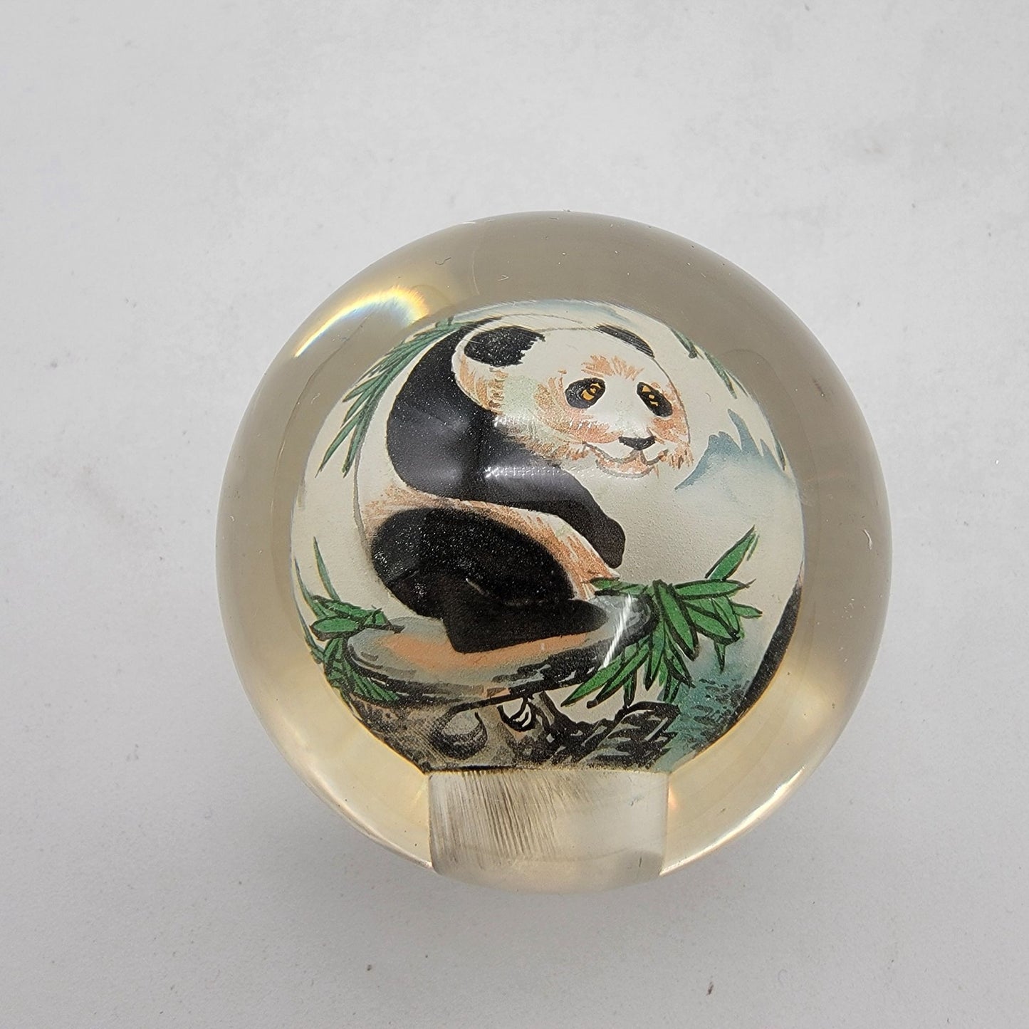 Reverse Hand Painted Art Glass Panda Paperweight Signed Thomte