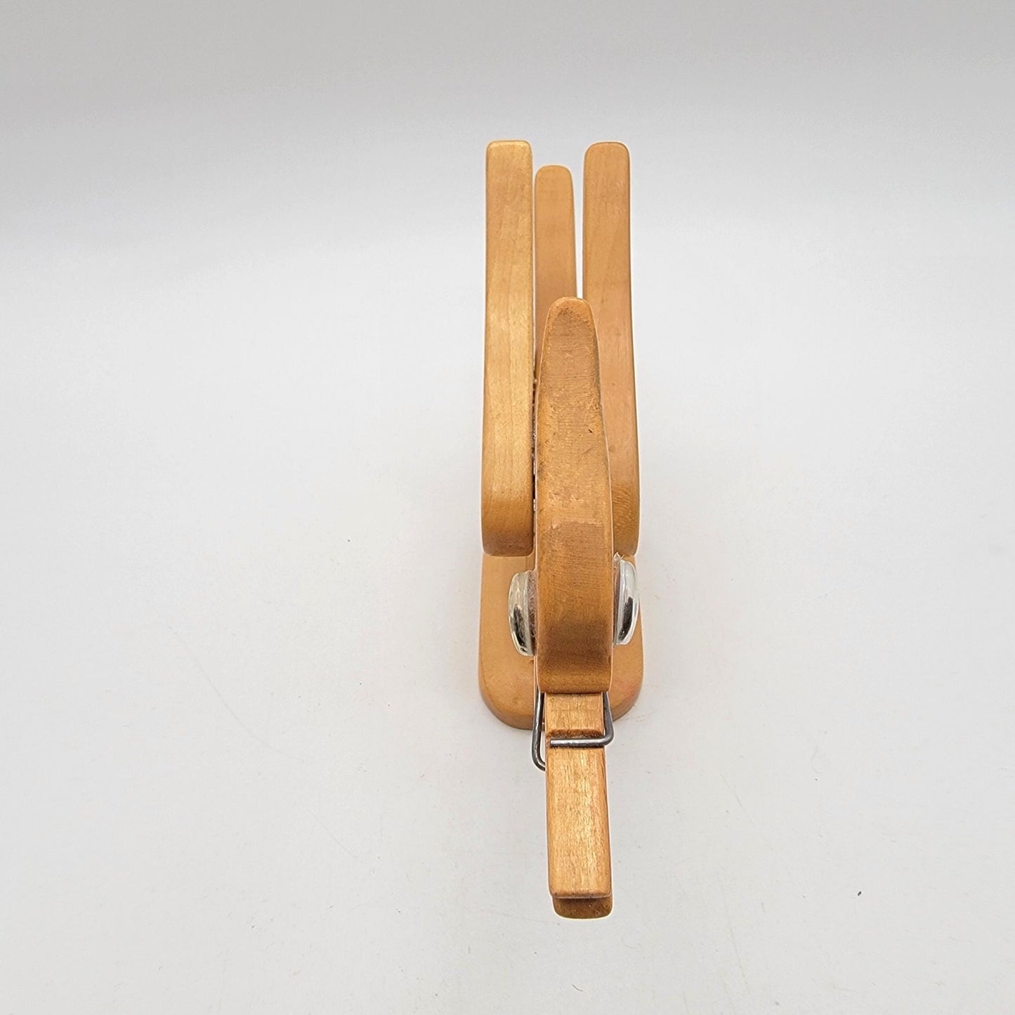 Vintage Roadrunner Wood Clothespin Recipe or Note Holder