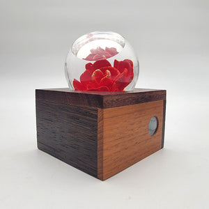 Vintage 1983 Red Flower Glass Paperweight With Wood Base Signed