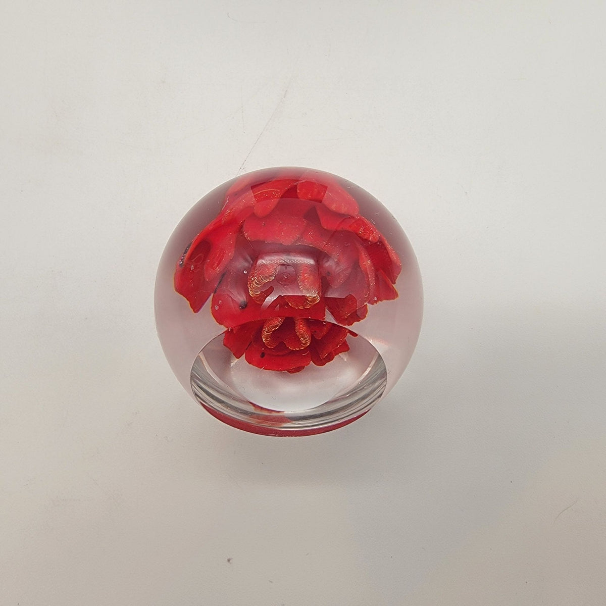 Vintage 1983 Red Flower Glass Paperweight With Wood Base Signed