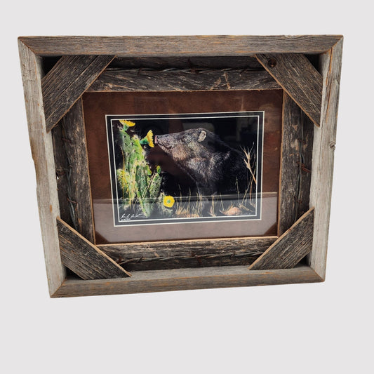Wild Boar Scratchboard Art By Joseph Robertson Signed & Numbered With Reclaimed Wood Frame