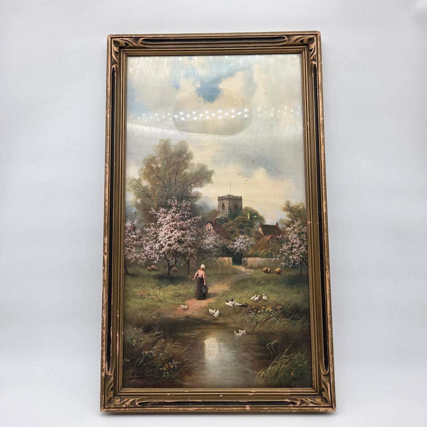 Antique Spring Blossoms By F. Arnolds Print Framed