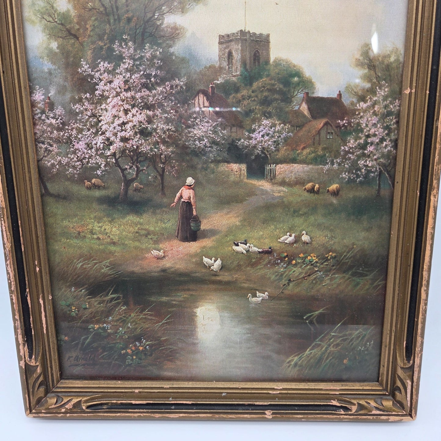 Antique Spring Blossoms By F. Arnolds Print Framed