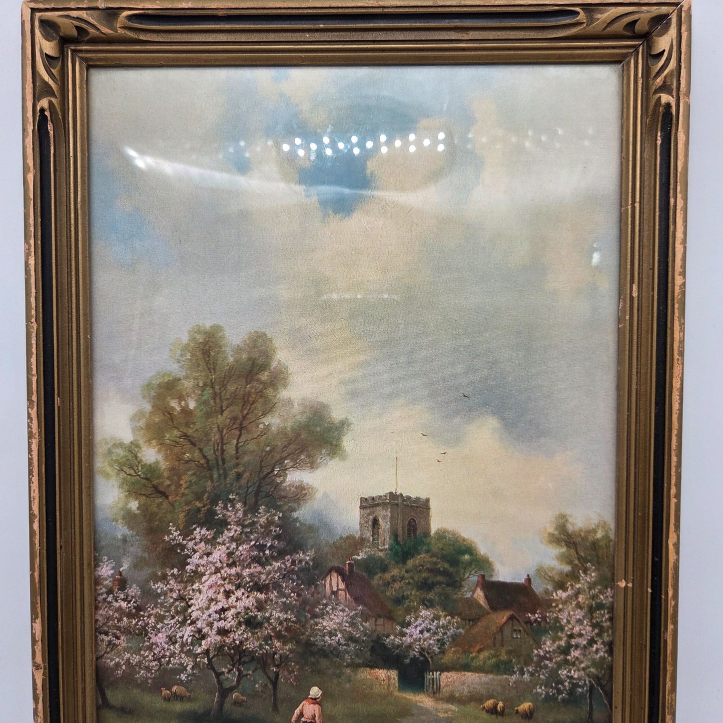 Antique Spring Blossoms By F. Arnolds Print Framed