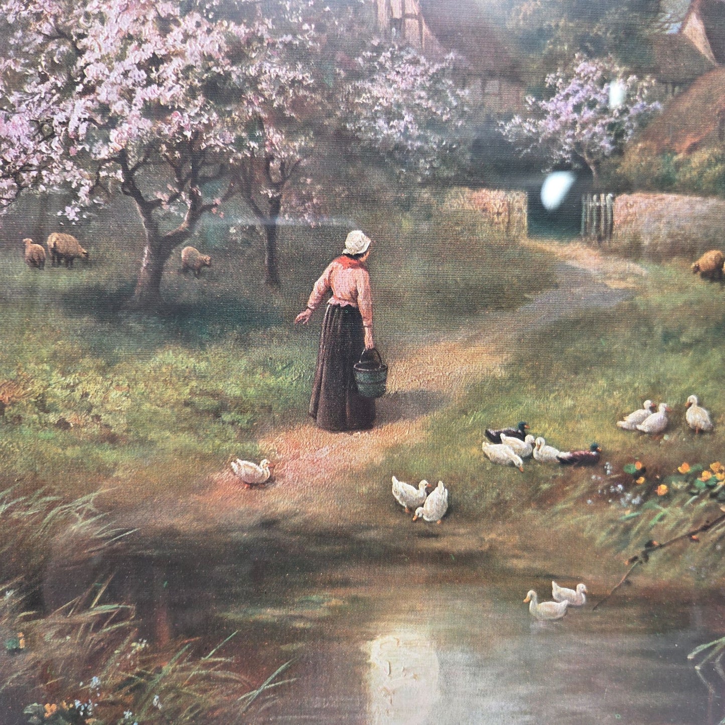 Antique Spring Blossoms By F. Arnolds Print Framed