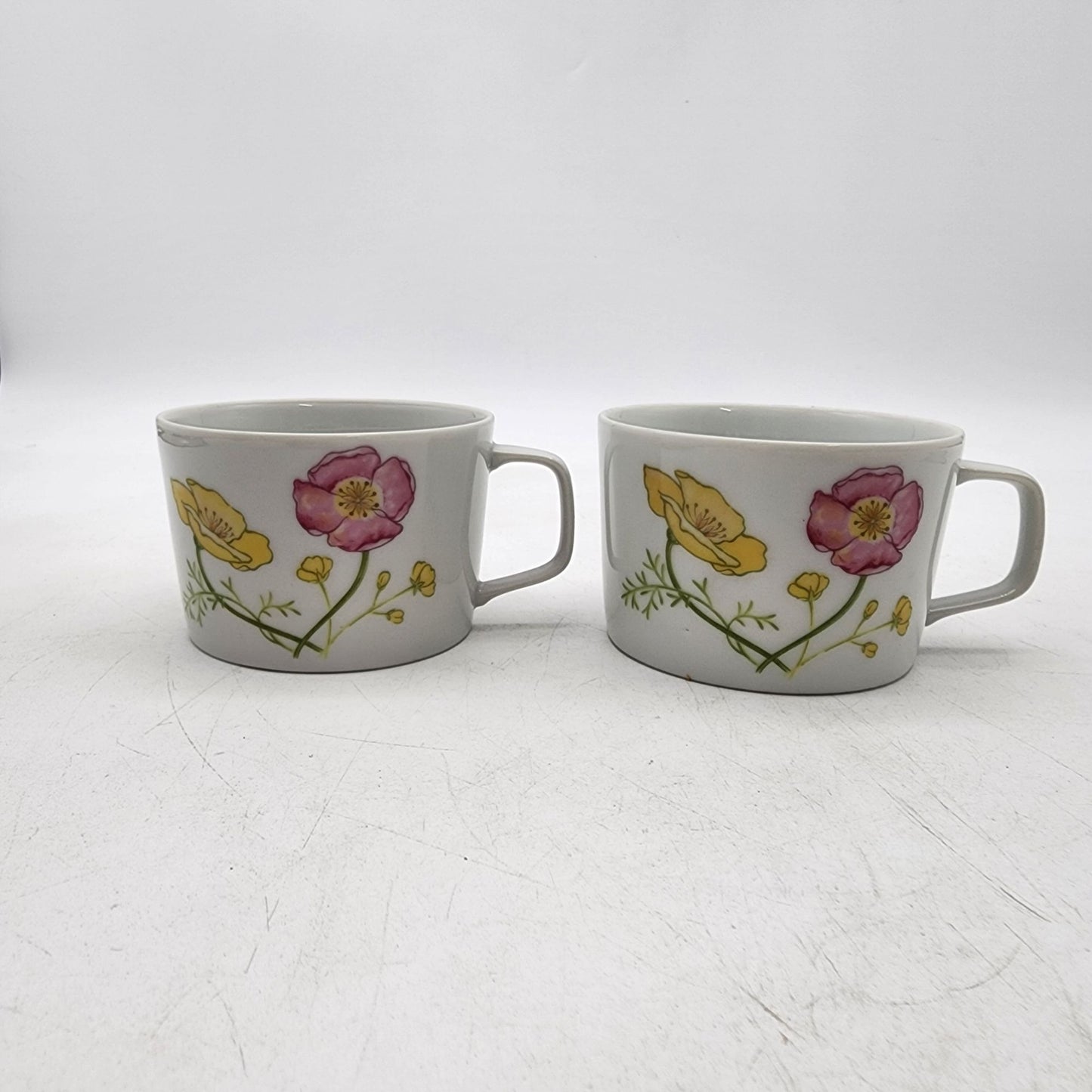 Vintage Jardin Geneve Fine China Floral Teacups Set Of 2