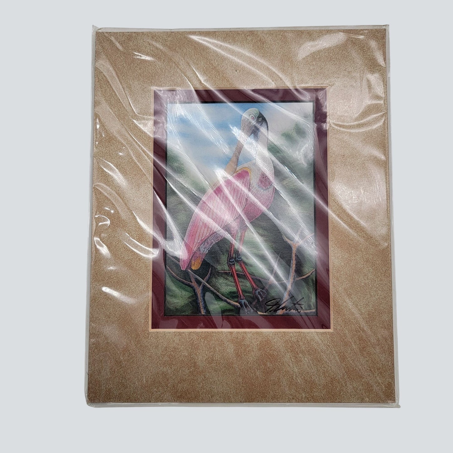 "Roseate Spoonbill" Bird Matted Lithograph Art Print Signed By John Costin