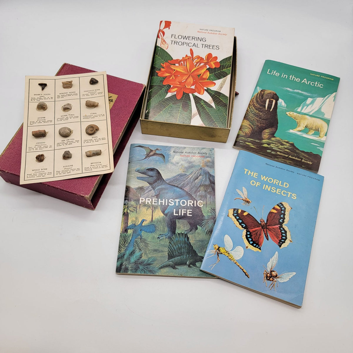 National Audubon Society Nature Program Box Set With Books & Fossil Kit