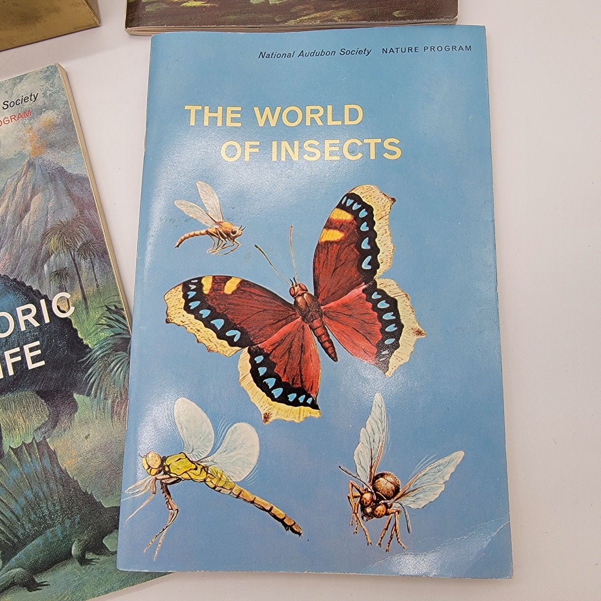 National Audubon Society Nature Program Box Set With Books & Fossil Kit