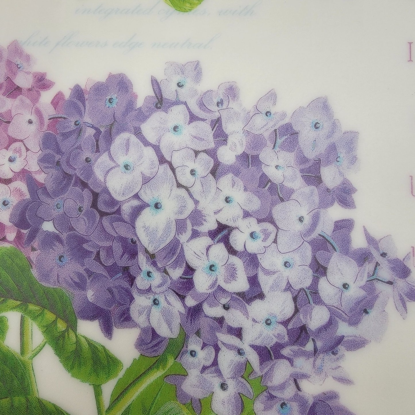 Vintage Hydrangeas Butterfly Melamine Serving Tray