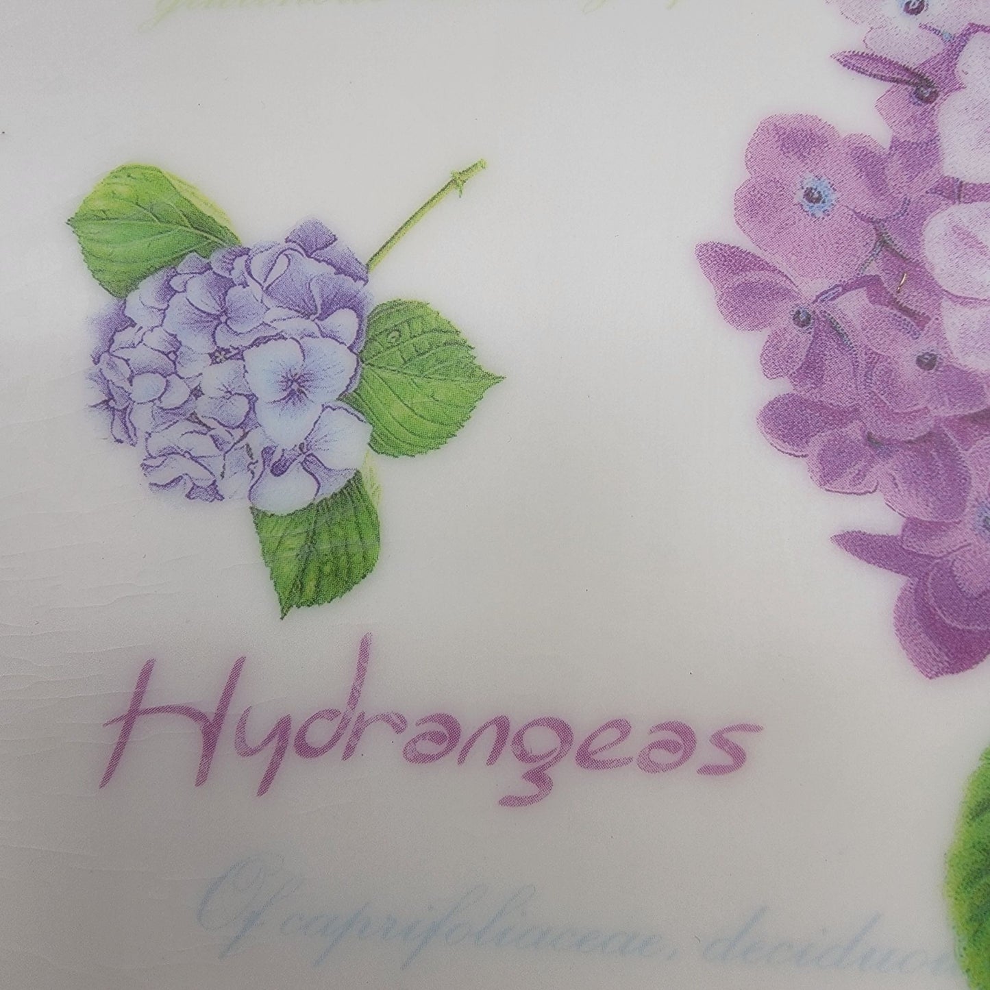 Vintage Hydrangeas Butterfly Melamine Serving Tray