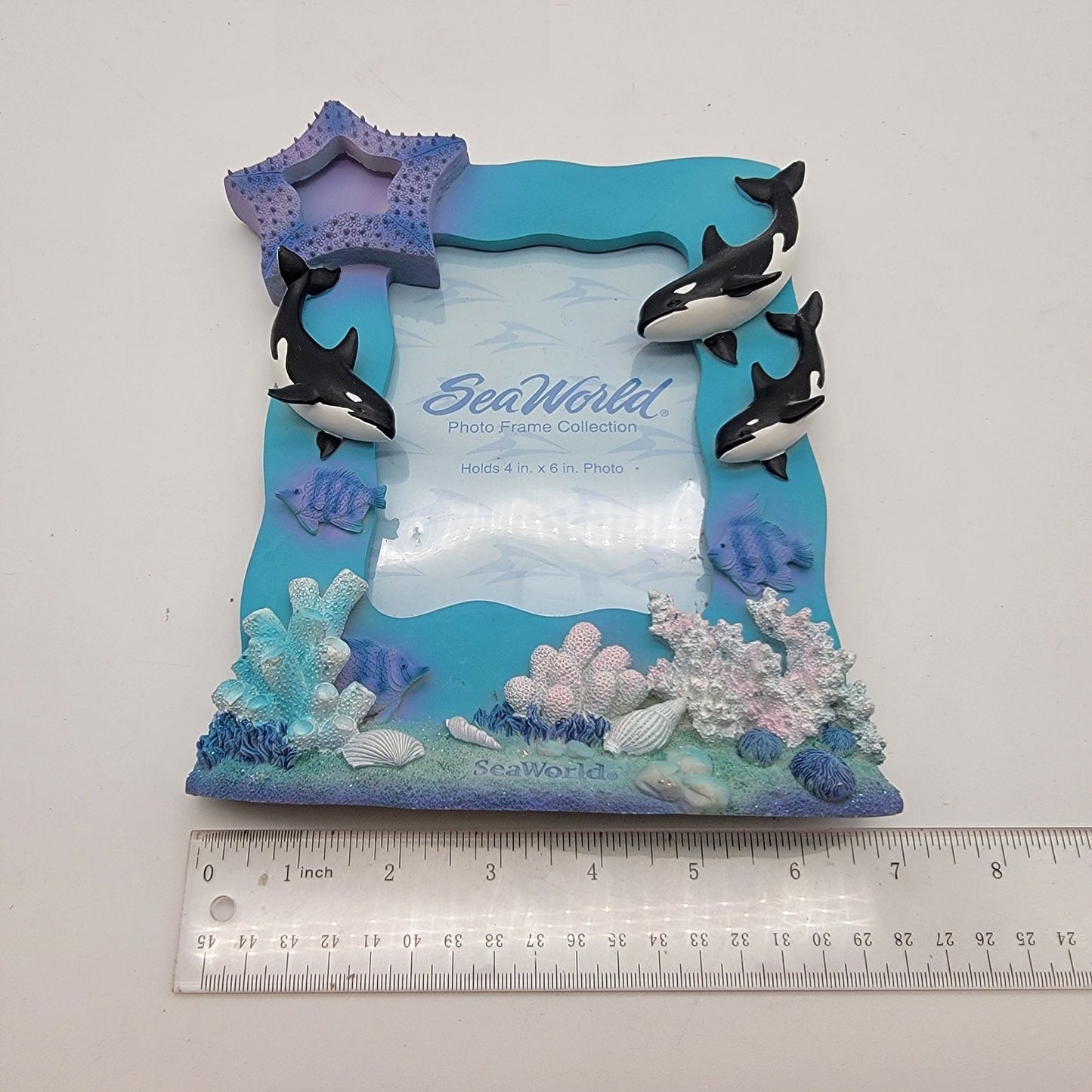 SeaWorld 3D Adventure Parks Shamu Killer Whales Photo Frame